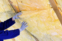 batts in the attic, Boston, Concord MA